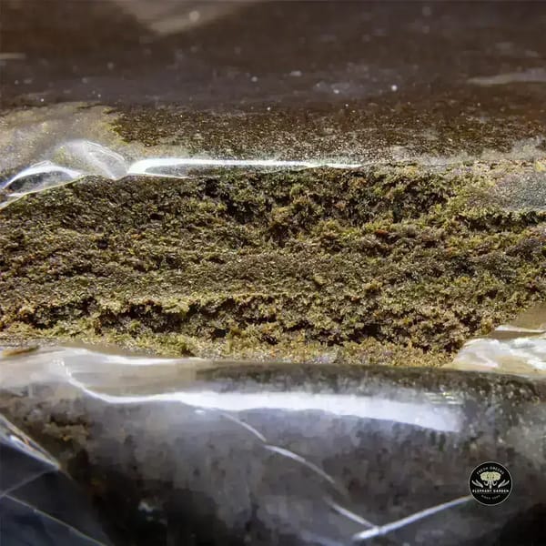 Buy Top Gun at Elephant Garden Co Weed Dispensary Burn 11 13 24