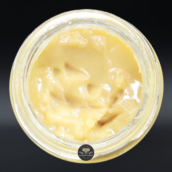 Pine Tar Live Hash Rosin LHR AAAA from Elephant Garden single bud Feb 2026