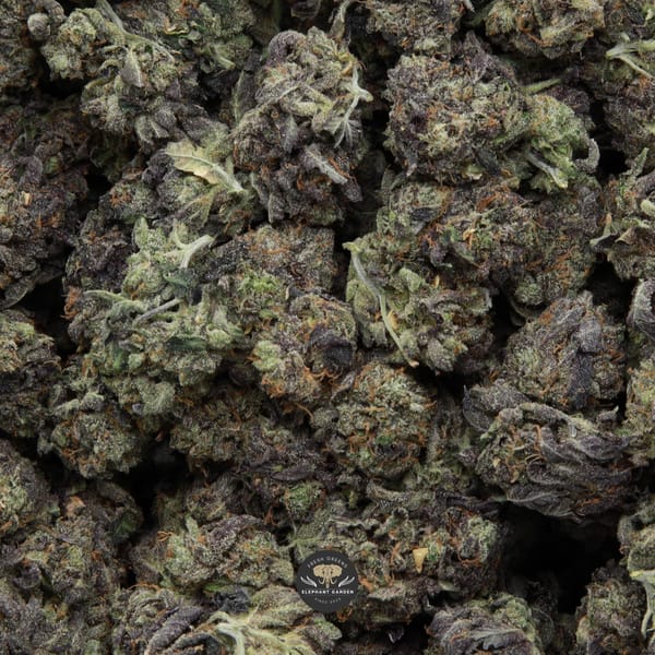 Death Ultra Smalls Elephant Garden March 2026