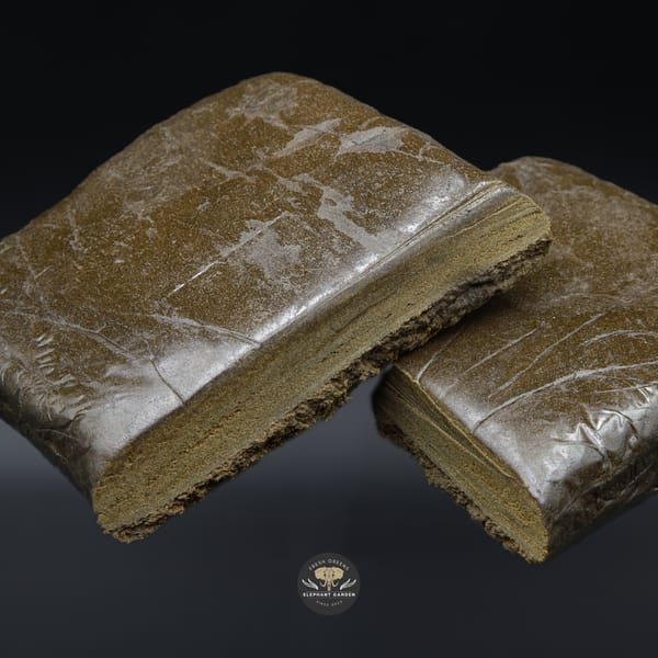 Strawberry Cough Hash Split Elephant Garden March 2026