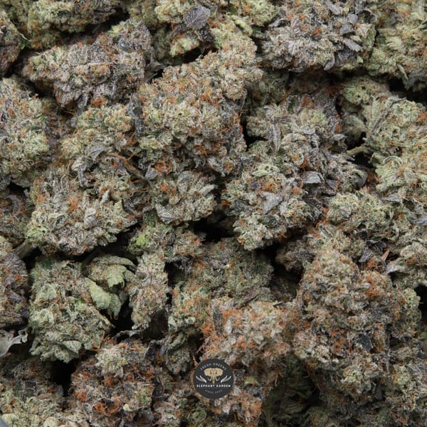 bag of death walker april 2026 elephant garden